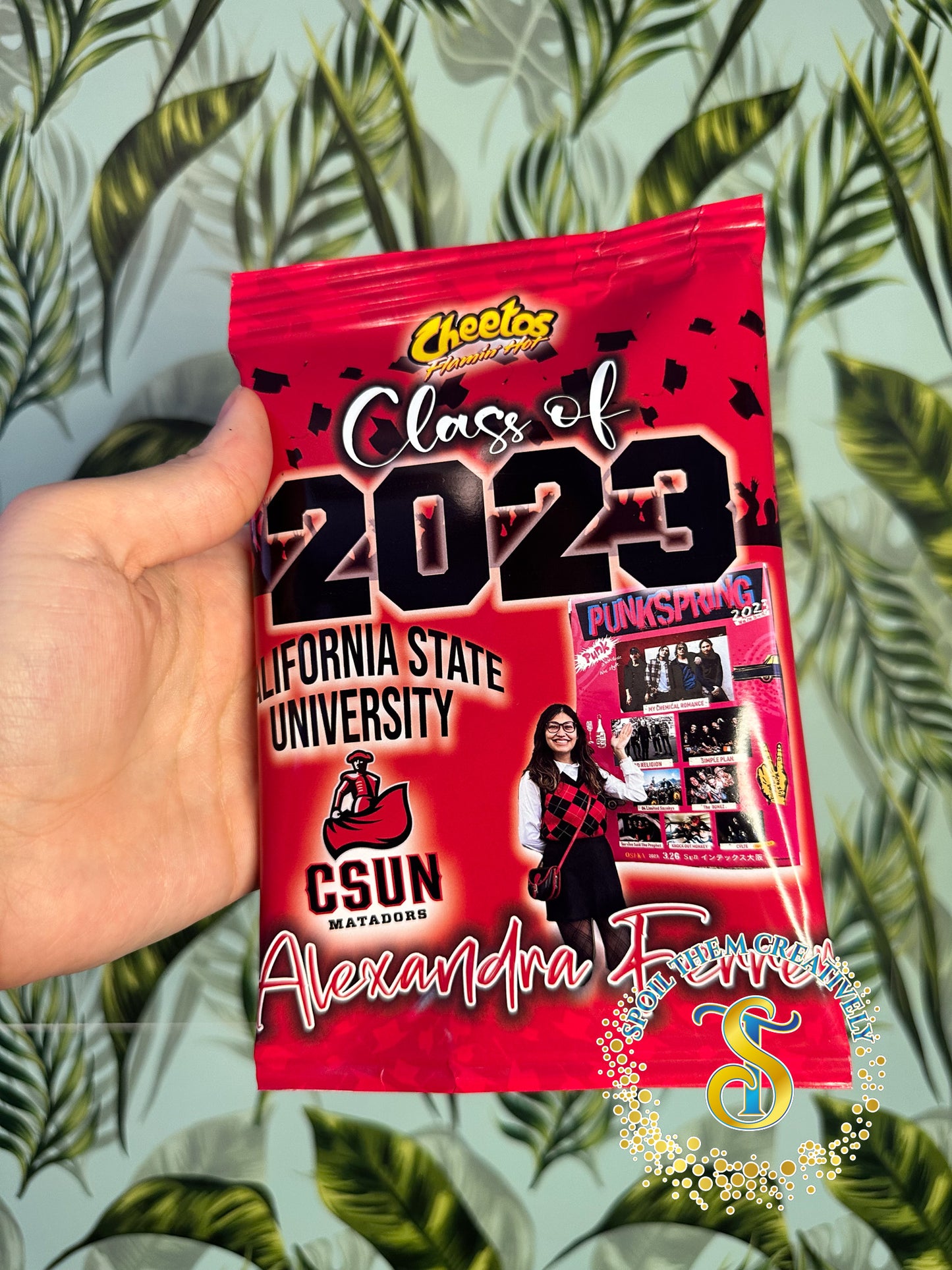 Graduation Chip Bags (10 Pack)